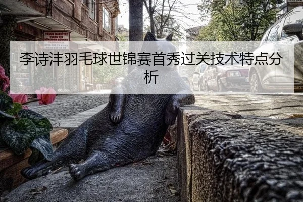 李诗沣羽毛球世锦赛首秀过关技术特点分析