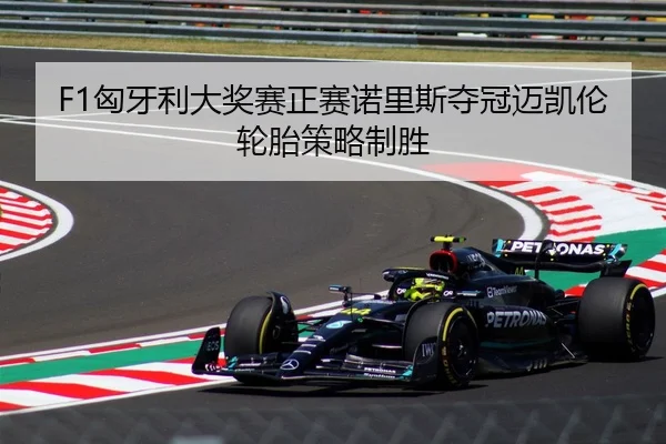 F1匈牙利大奖赛正赛诺里斯夺冠迈凯伦轮胎策略制胜